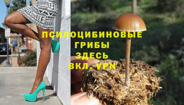 амф Алзамай