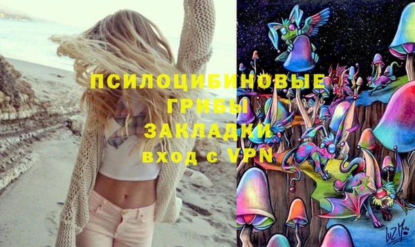 ECSTASY Алексеевка