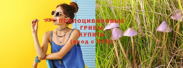 ECSTASY Алексеевка